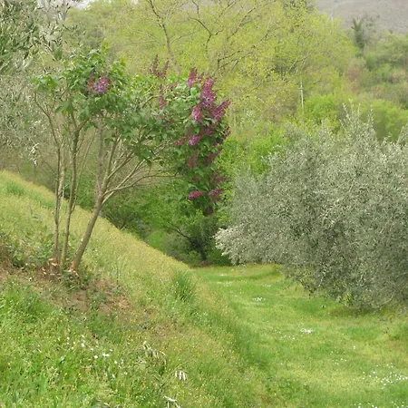 La Loggetta Corgna